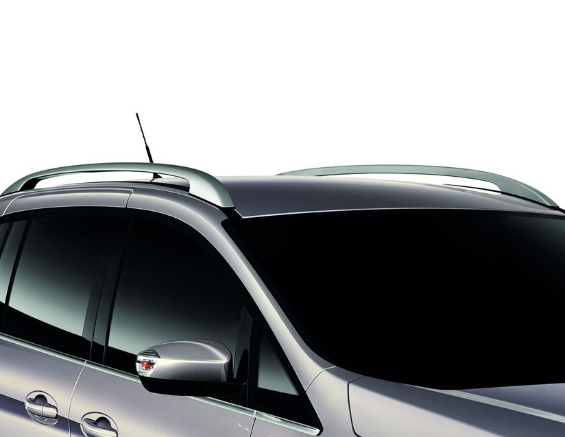 Originale Ford C-MAX dal 11/2010 Corrimano da tetto argento