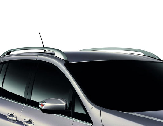 Originale Ford C-MAX dal 11/2010 Corrimano da tetto argento
