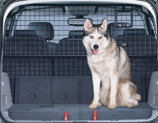 Originale Ford S-MAX Kit estensione griglia divisoria per trasporto animali